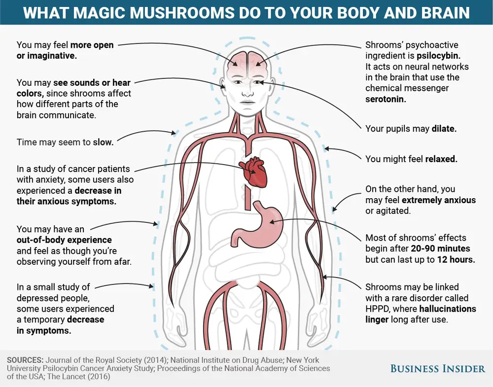 Buy Magic Mushroom Australia